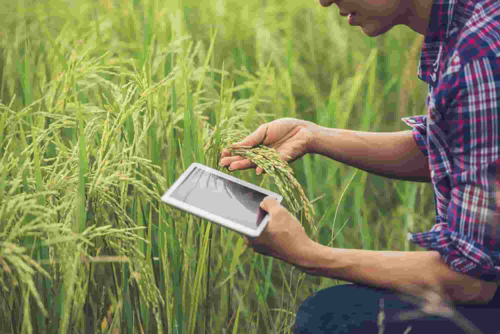 How SocketXP compliments BioScout Pty Ltd. in early detection of airborne pathogens - SocketXP Case Study