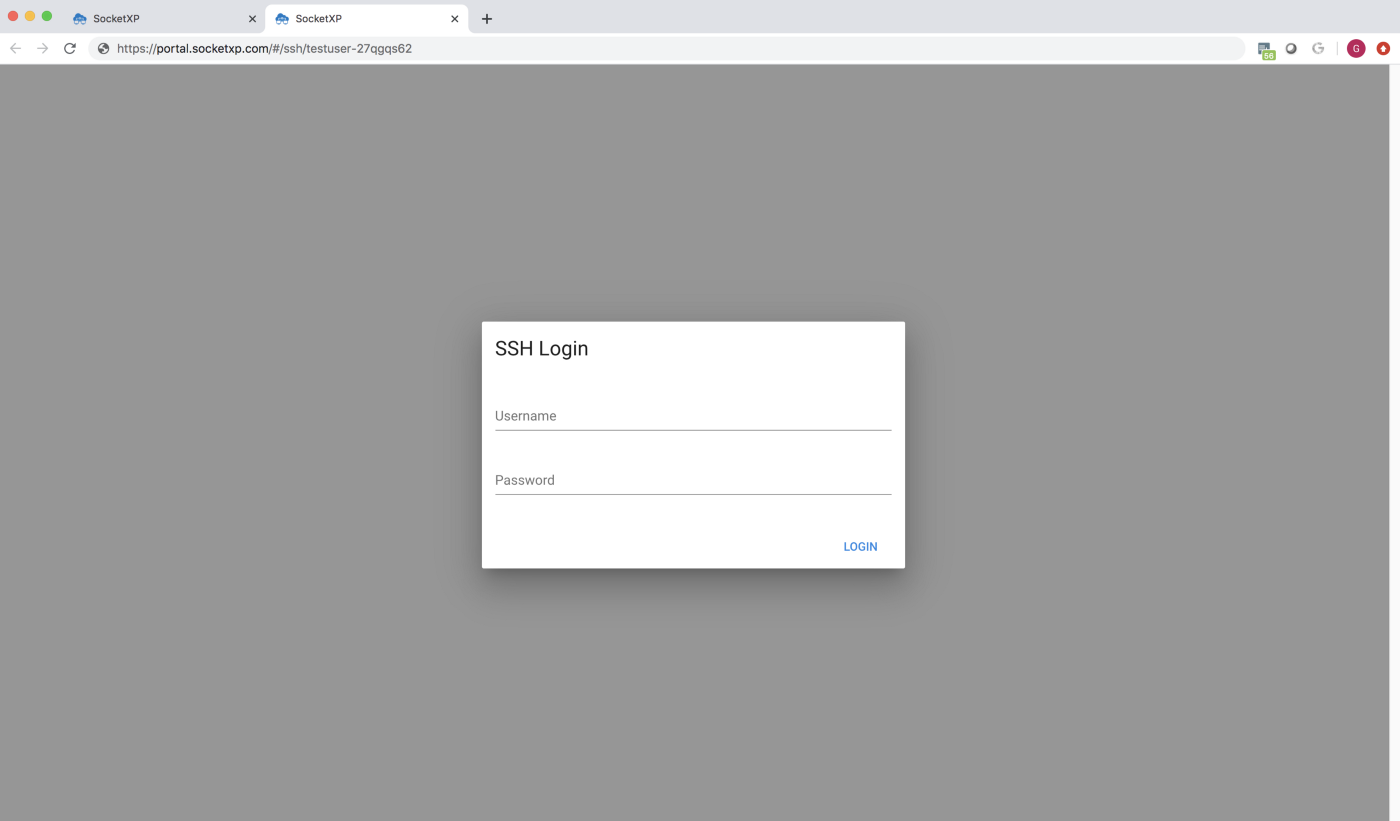 SocketXP IoT Remote SSH Raspberry Pi Remote SSH xterm access from browser