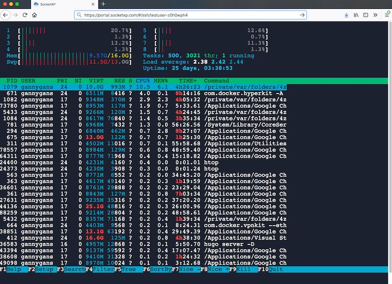 Linux server cluster SSH remote access